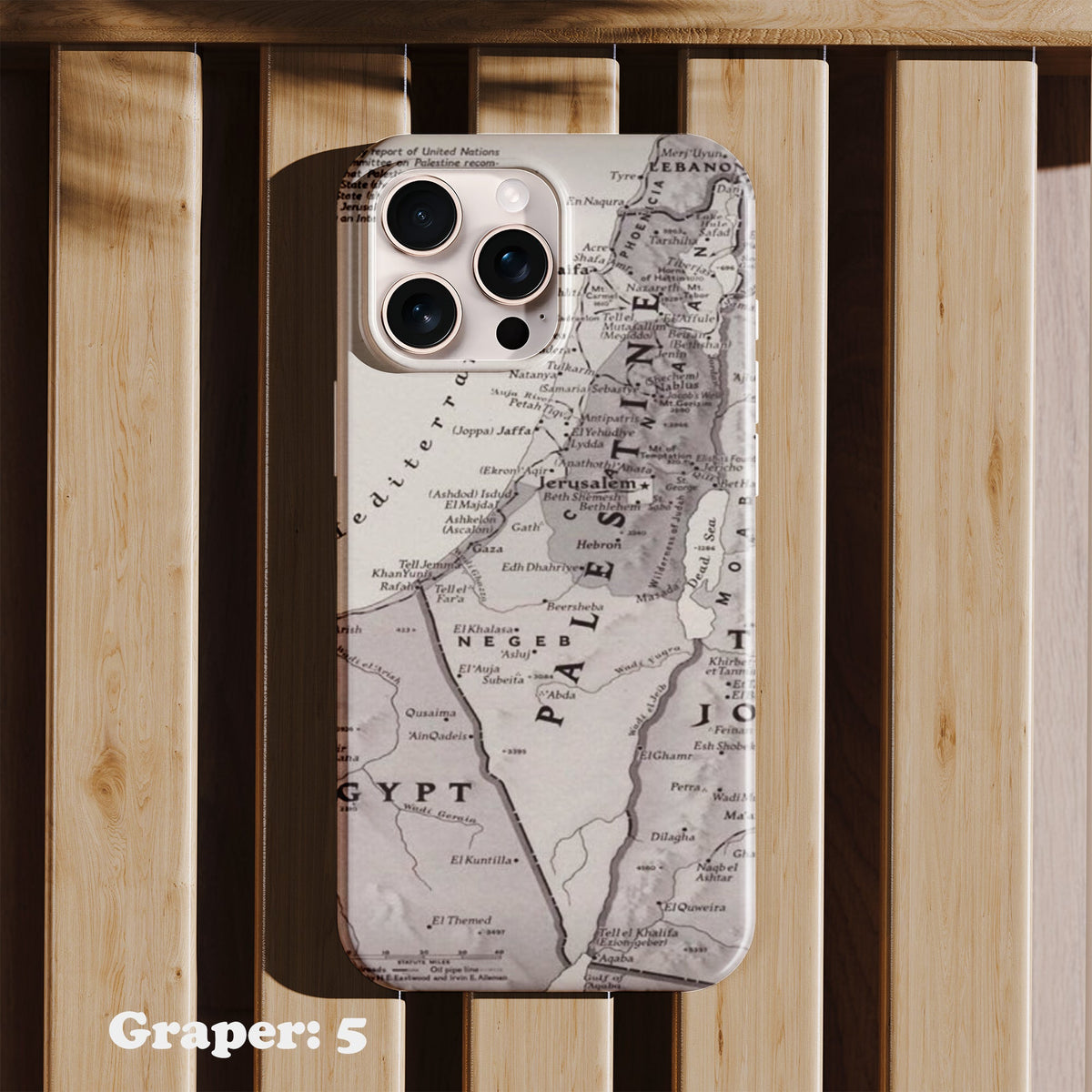 Phone case - Palastine - Historic Palestine Map - Design 5